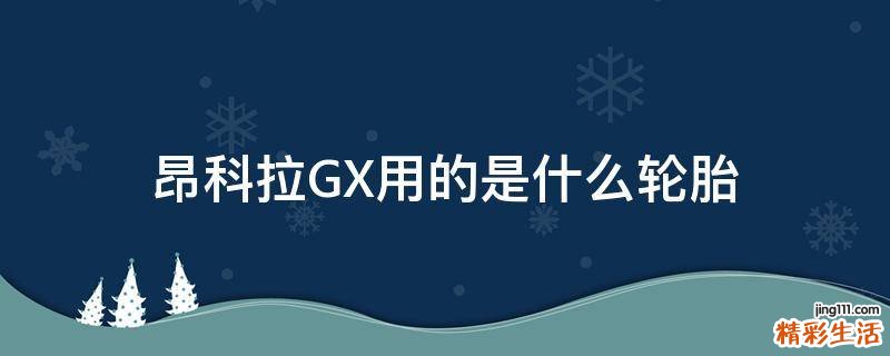 昂科拉GX用的是什么轮胎
