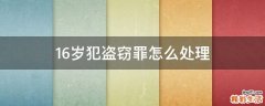 16岁犯盗窃罪怎么处理
