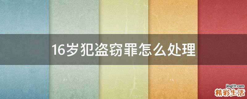 16岁犯盗窃罪怎么处理