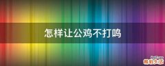 怎样让公鸡不打鸣