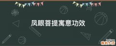 凤眼菩提寓意功效