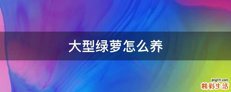 大型綠蘿怎么養(yǎng)