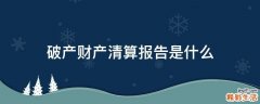 破产财产清算报告是什么