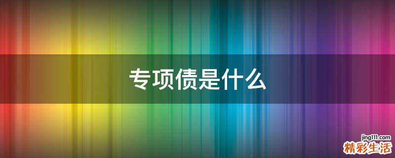 专项债是什么