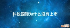 科锐国际为什么没有上市