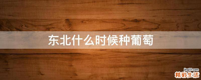 东北什么时候种葡萄