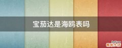 宝茄达是海鸥表吗
