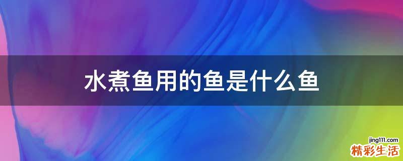 水煮鱼用的鱼是什么鱼