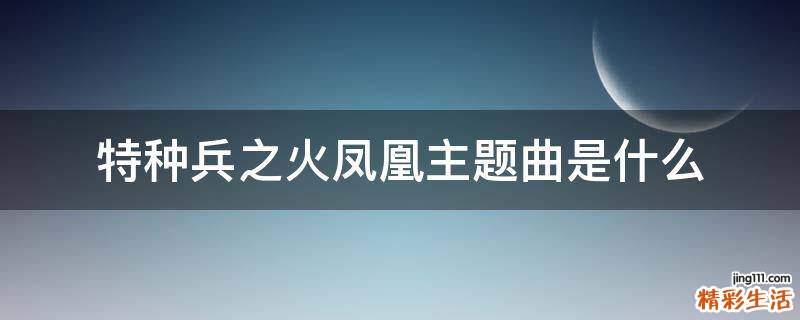 特种兵之火凤凰主题曲是什么