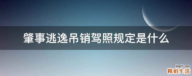 肇事逃逸吊销驾照规定是什么