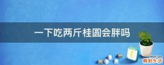一下吃两斤桂圆会胖吗