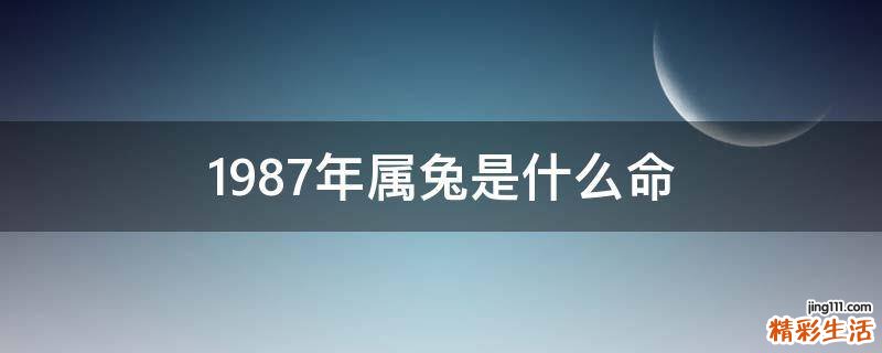 1987年属兔是什么命