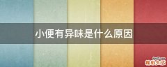 小便有异味是什么原因