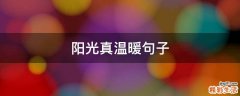 阳光真温暖句子