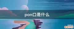 pon口是什么