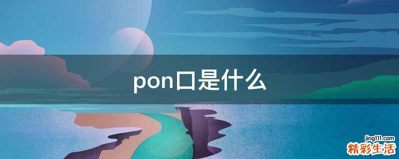 pon口是什么
