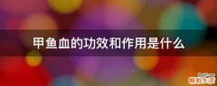 甲鱼血的功效和作用是什么