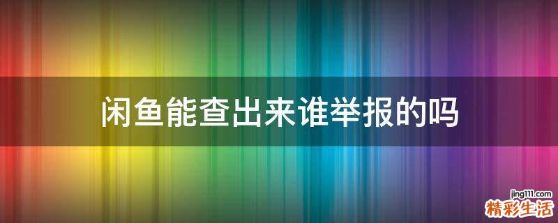 闲鱼能查出来谁举报的吗