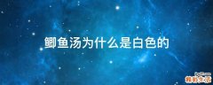 鲫鱼汤为什么是白色的