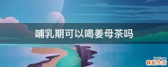哺乳期可以喝姜母茶吗