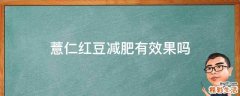 薏仁红豆减肥有效果吗