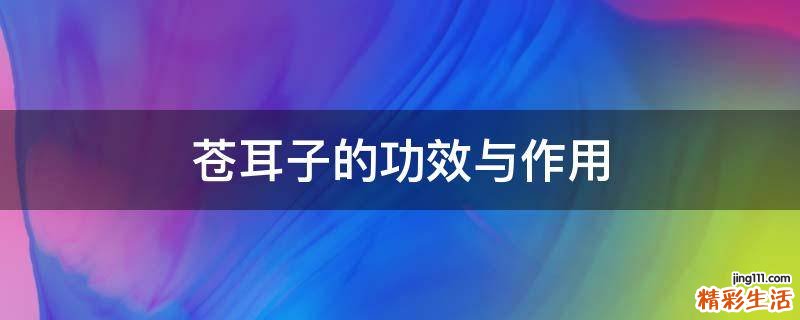 苍耳子的功效与作用