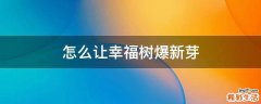 怎么让幸福树爆新芽