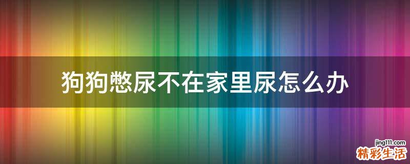 狗狗憋尿不在家里尿怎么办