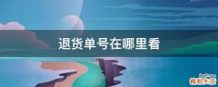 退货单号在哪里看