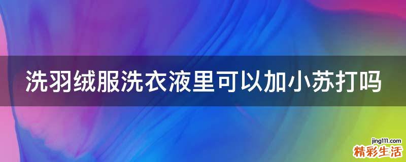 洗羽绒服洗衣液里可以加小苏打吗