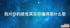 我对你的感觉其实你懂得是什么歌