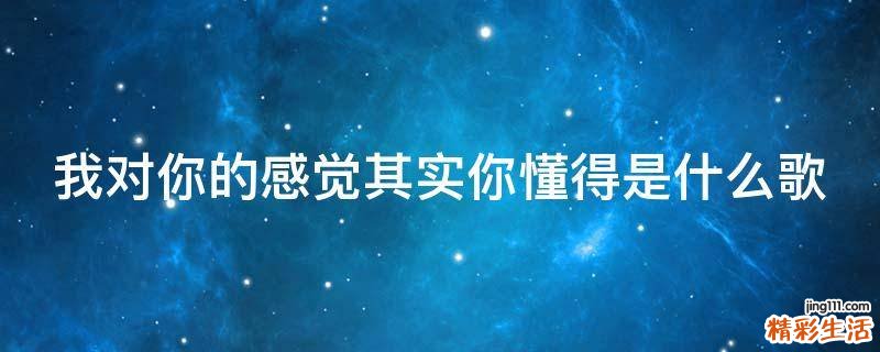 我对你的感觉其实你懂得是什么歌