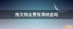 拖欠物业费有滞纳金吗