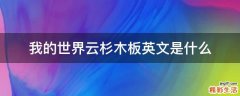我的世界云杉木板英文是什么