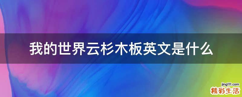 我的世界云杉木板英文是什么