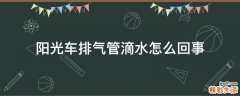 阳光车排气管滴水怎么回事
