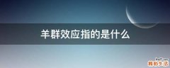 羊群效应指的是什么