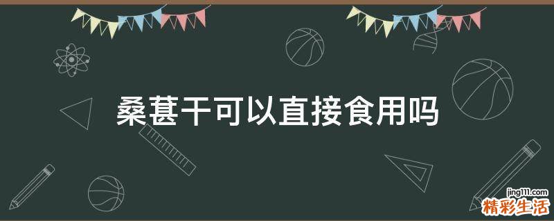 桑葚干可以直接食用吗