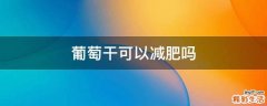 葡萄干可以减肥吗