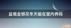 盆栽金银花冬天能在室内养吗