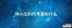 林小庄的代号是叫什么