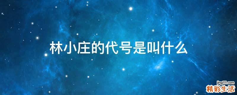 林小莊的代號是叫什么