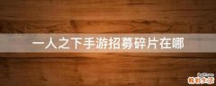 一人之下手游招募碎片在哪