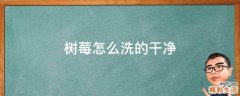 树莓怎么洗的干净