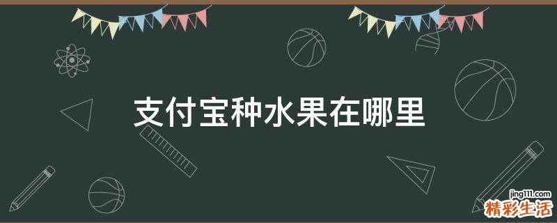支付宝种水果在哪里