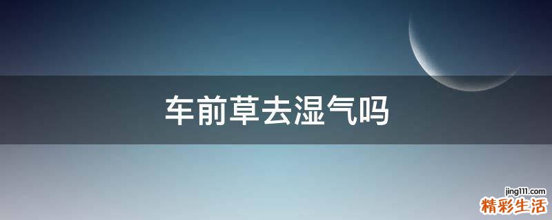 车前草去湿气吗