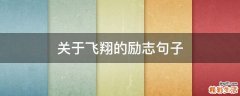 关于飞翔的励志句子