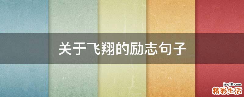 关于飞翔的励志句子