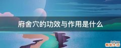 府舍穴的功效与作用是什么