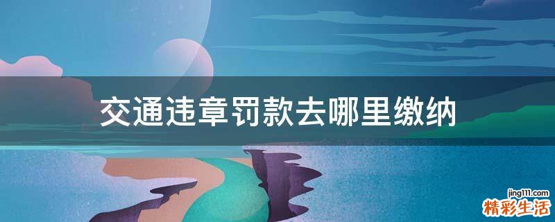 交通违章罚款去哪里缴纳